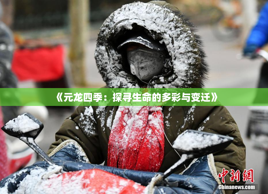 《元龙四季：探寻生命的多彩与变迁》