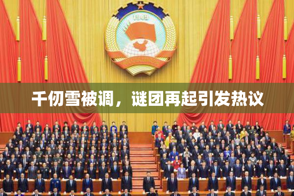 千仞雪被调，谜团再起引发热议