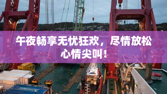 午夜畅享无忧狂欢，尽情放松心情尖叫！