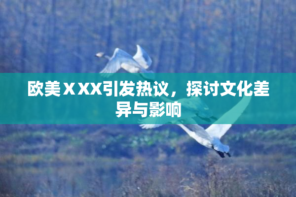 欧美ⅩXX引发热议，探讨文化差异与影响