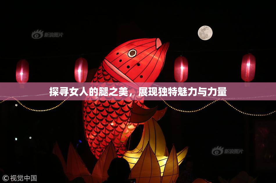 探寻女人的腿之美，展现独特魅力与力量
