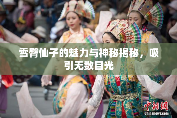 雪臀仙子的魅力与神秘揭秘，吸引无数目光