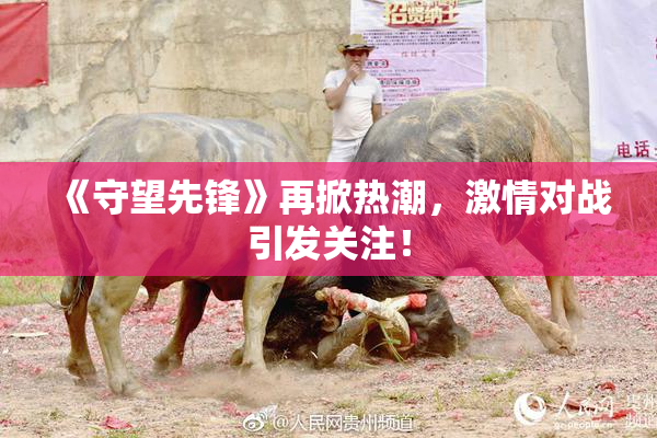 《守望先锋》再掀热潮，激情对战引发关注！