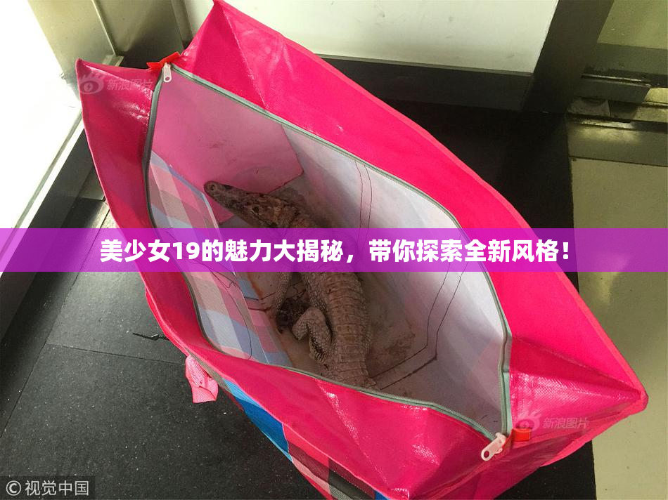 美少女19的魅力大揭秘，带你探索全新风格！