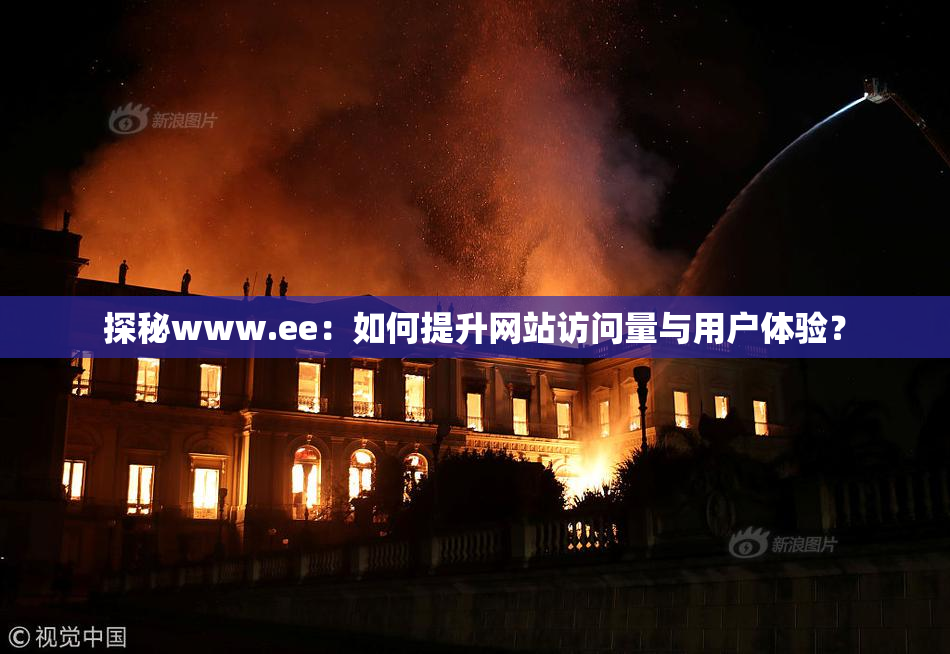 探秘www.ee：如何提升网站访问量与用户体验？