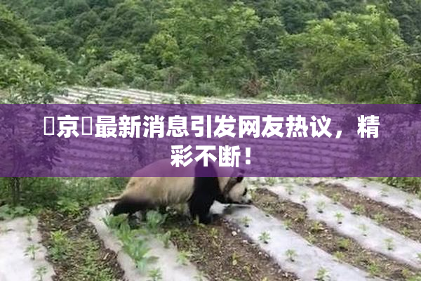 東京熱最新消息引发网友热议，精彩不断！