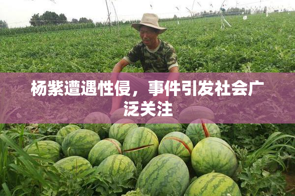 杨紫遭遇性侵，事件引发社会广泛关注