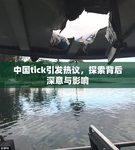 中国tick引发热议，探索背后深意与影响