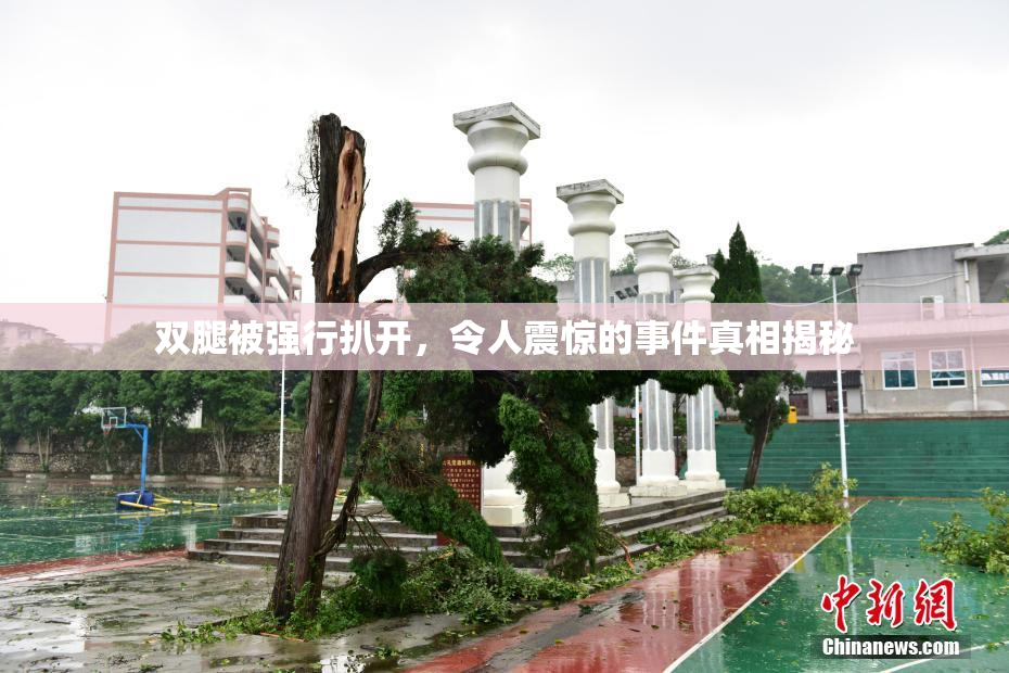 双腿被强行扒开，令人震惊的事件真相揭秘