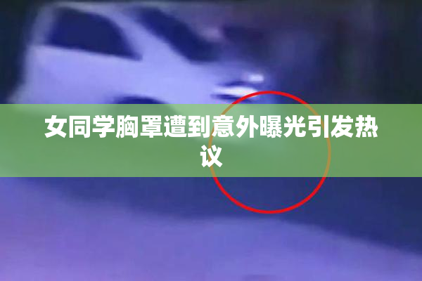 女同学胸罩遭到意外曝光引发热议
