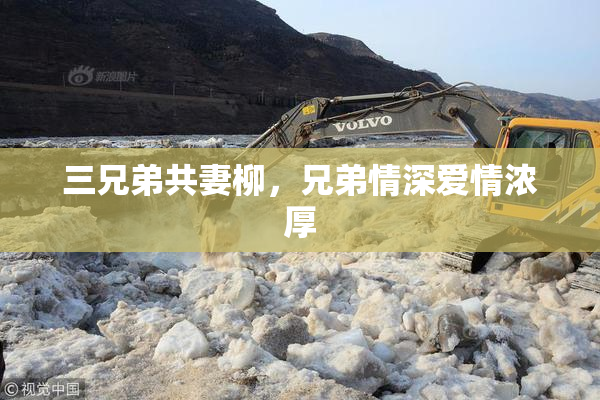 三兄弟共妻柳，兄弟情深爱情浓厚