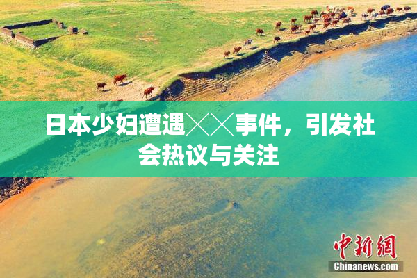 日本少妇遭遇╳╳事件，引发社会热议与关注