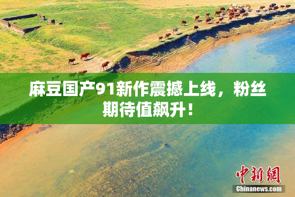 麻豆国产91新作震撼上线，粉丝期待值飙升！