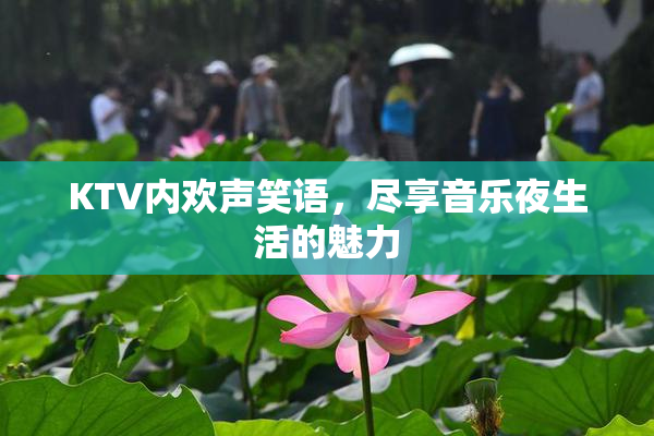 KTV内欢声笑语，尽享音乐夜生活的魅力