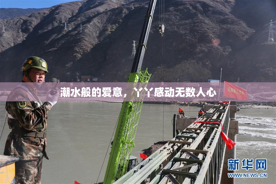 潮水般的爱意，丫丫感动无数人心