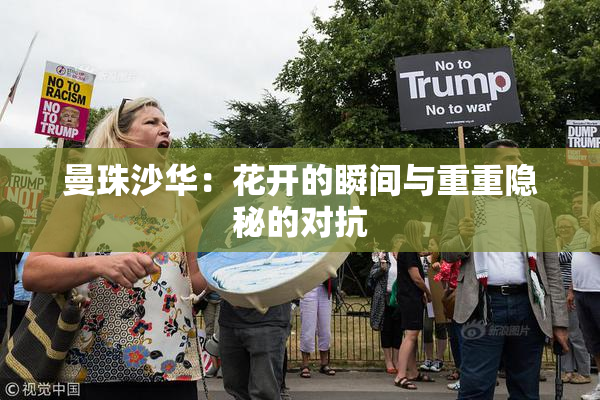 曼珠沙华：花开的瞬间与重重隐秘的对抗