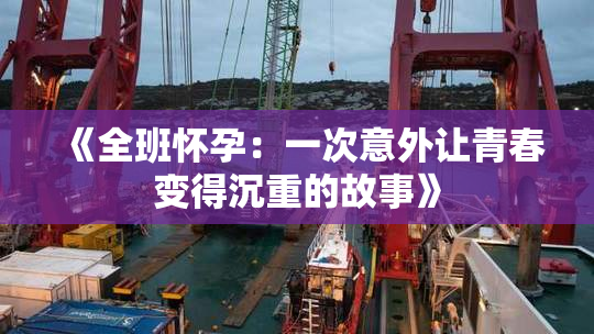 《全班怀孕：一次意外让青春变得沉重的故事》
