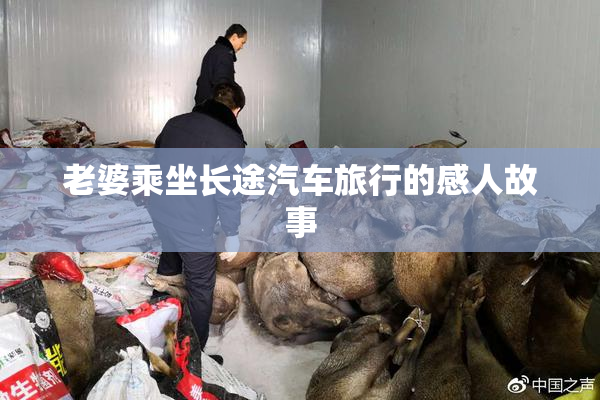 老婆乘坐长途汽车旅行的感人故事