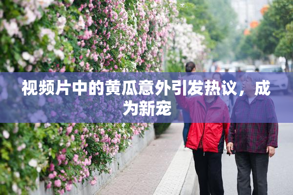 视频片中的黄瓜意外引发热议，成为新宠