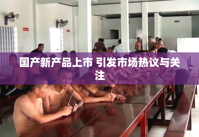 国产新产品上市 引发市场热议与关注