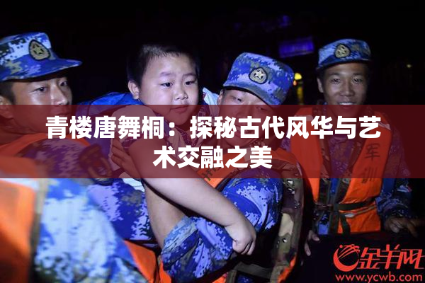 青楼唐舞桐：探秘古代风华与艺术交融之美