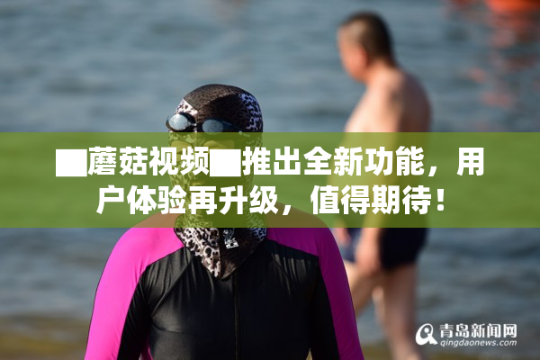 ▇蘑菇视频▇推出全新功能，用户体验再升级，值得期待！