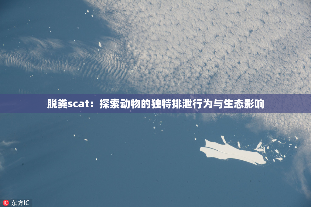 脱粪scat：探索动物的独特排泄行为与生态影响