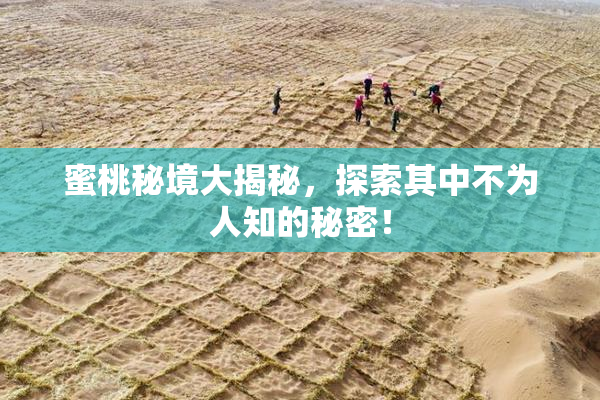 蜜桃秘境大揭秘，探索其中不为人知的秘密！