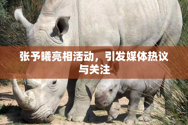 张予曦亮相活动，引发媒体热议与关注