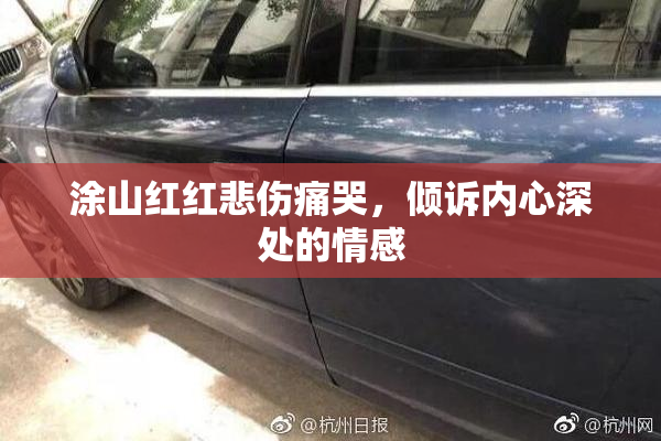 涂山红红悲伤痛哭，倾诉内心深处的情感