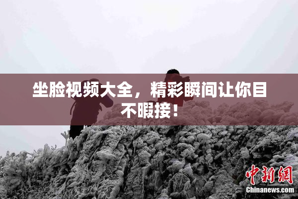 坐脸视频大全，精彩瞬间让你目不暇接！