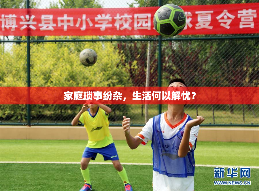 家庭琐事纷杂，生活何以解忧？