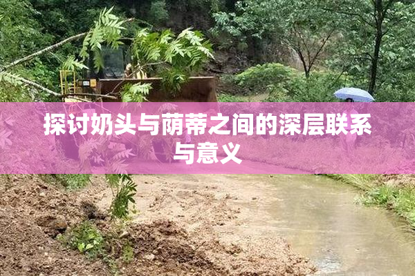 探讨奶头与荫蒂之间的深层联系与意义