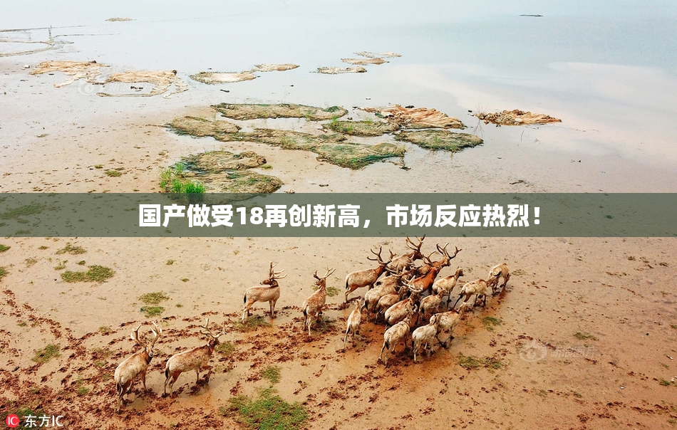 国产做受18再创新高，市场反应热烈！
