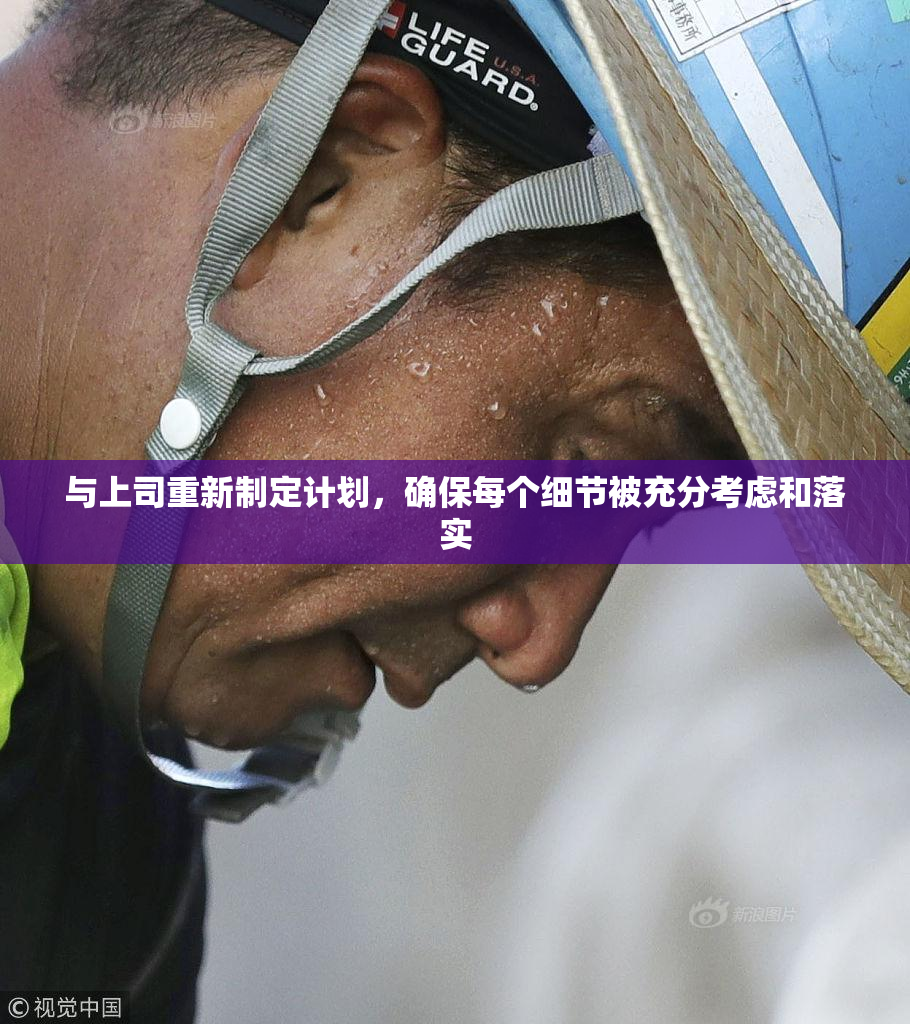 与上司重新制定计划，确保每个细节被充分考虑和落实