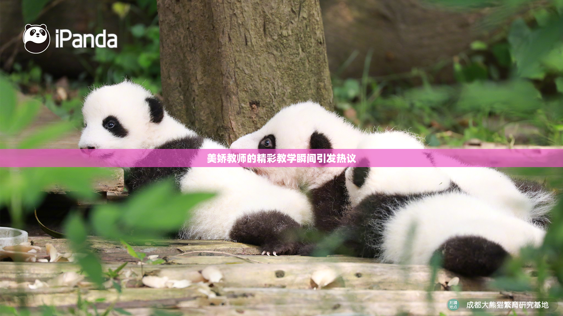 美娇教师的精彩教学瞬间引发热议