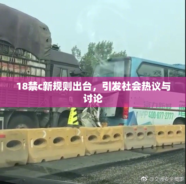 18禁c新规则出台，引发社会热议与讨论