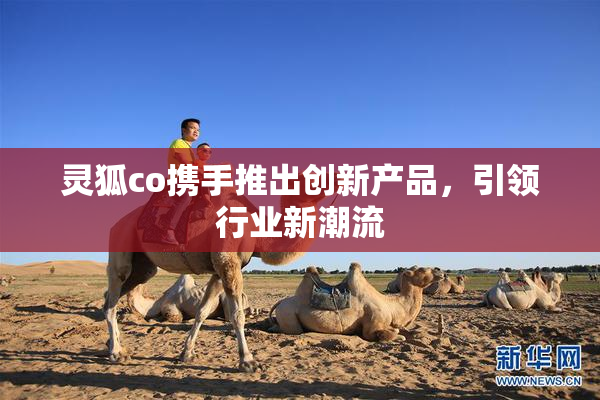 灵狐co携手推出创新产品，引领行业新潮流