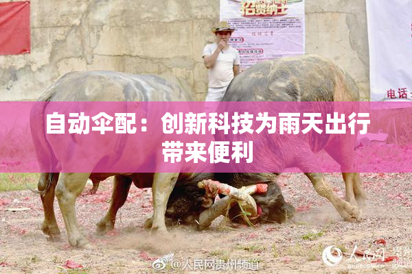 自动伞配：创新科技为雨天出行带来便利