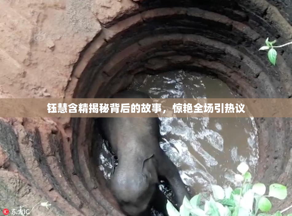 钰慧含精揭秘背后的故事，惊艳全场引热议