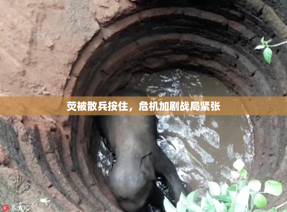 荧被散兵按住，危机加剧战局紧张