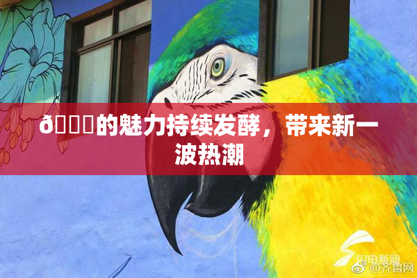 🈚的魅力持续发酵，带来新一波热潮