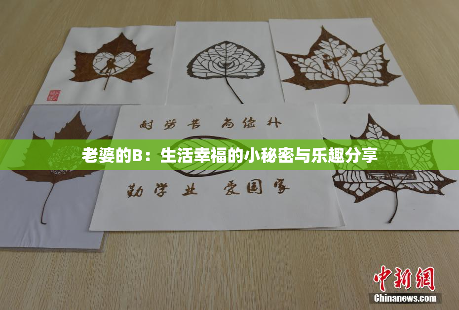 老婆的B：生活幸福的小秘密与乐趣分享