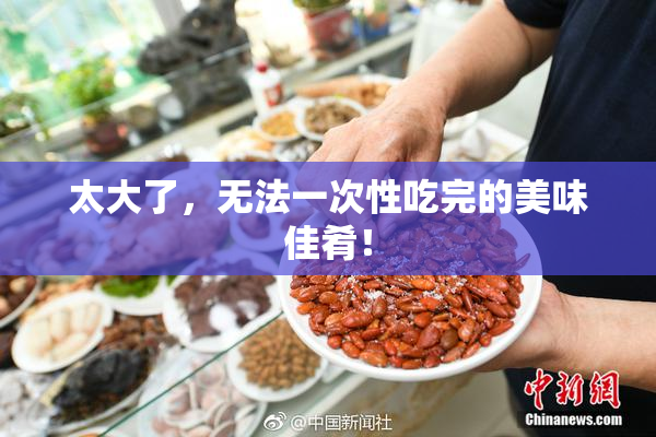 太大了，无法一次性吃完的美味佳肴！