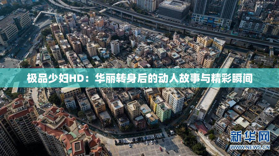 极品少妇HD：华丽转身后的动人故事与精彩瞬间