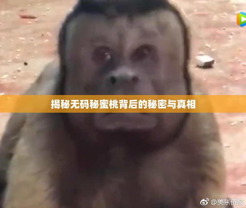 揭秘无码秘蜜桃背后的秘密与真相