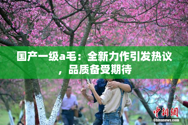 国产一级a毛：全新力作引发热议，品质备受期待