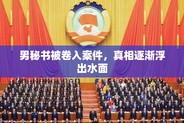 男秘书被卷入案件，真相逐渐浮出水面