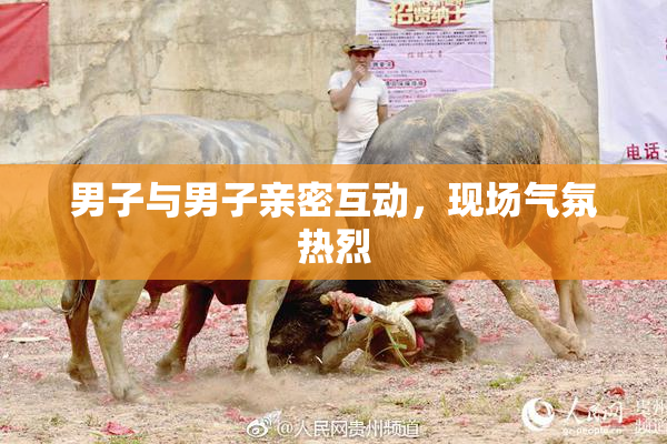 男子与男子亲密互动，现场气氛热烈
