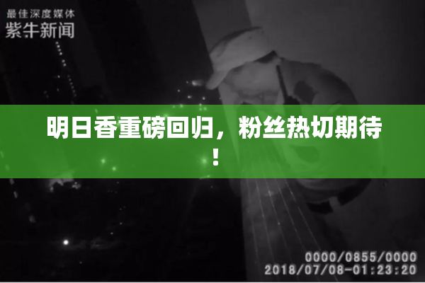明日香重磅回归，粉丝热切期待！